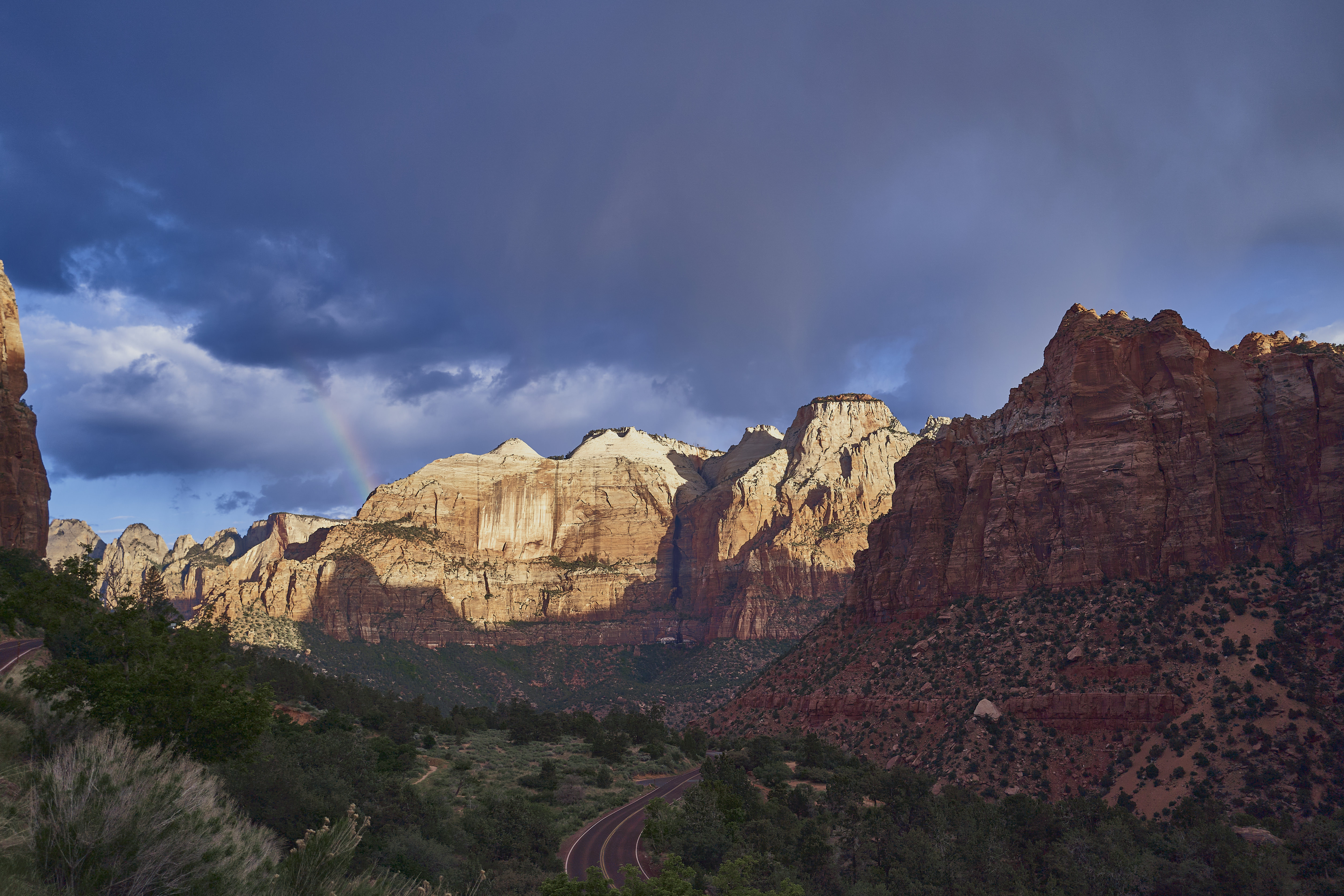 Zion Nat'l Park